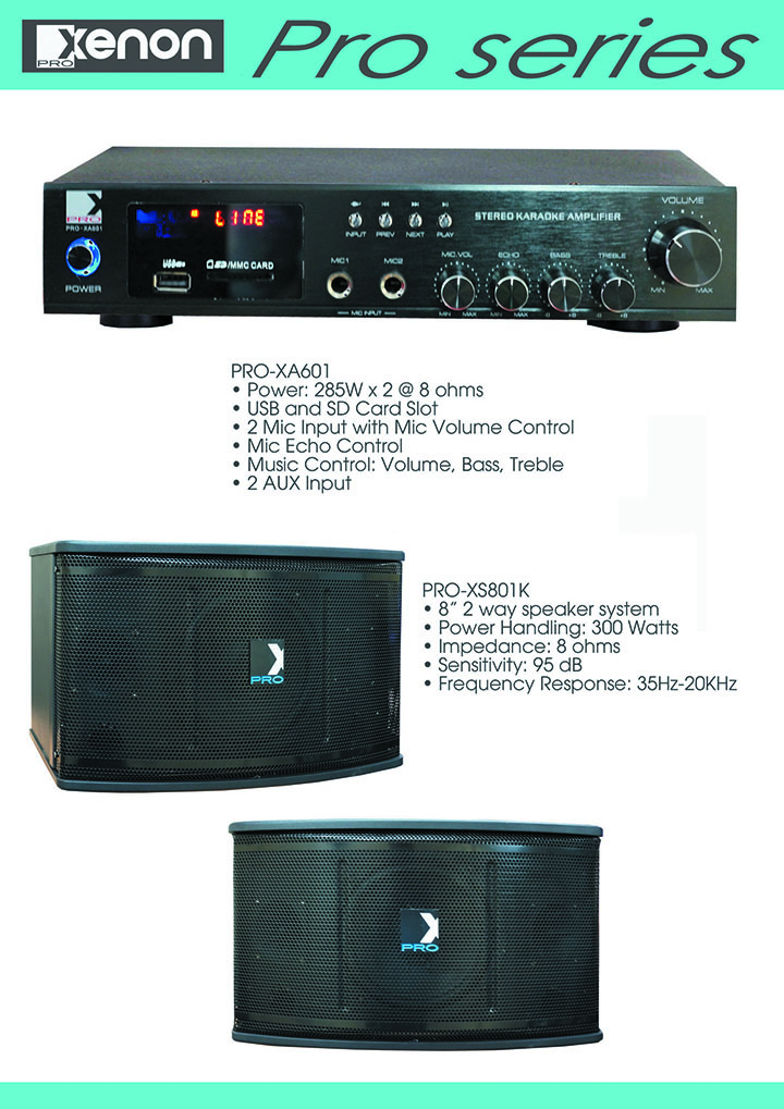 Digital Mixing Karaoke Amplifier