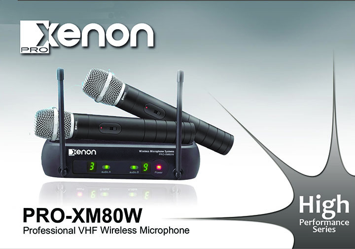 Professional VHF Dual Wireless Microphone