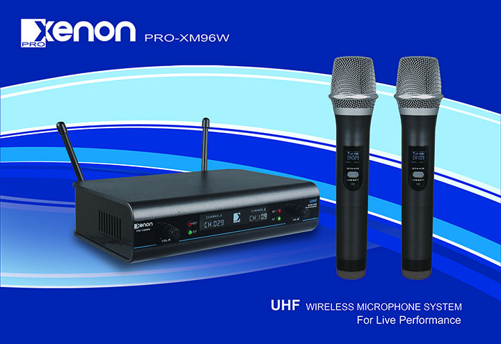 Professional UHF Dual Wireless Microphone System